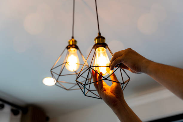 Best Outdoor Lighting Installation  in Northdale, FL