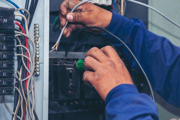 Best Affordable Electrician  in Northdale, FL